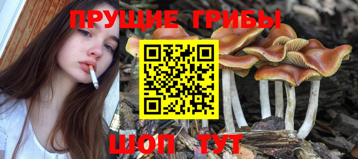 Галлюциногенные грибы прущие грибы  Псилоцибиновые грибы MAGIC MUSHROOMS  Вход с VPN  Дербент 