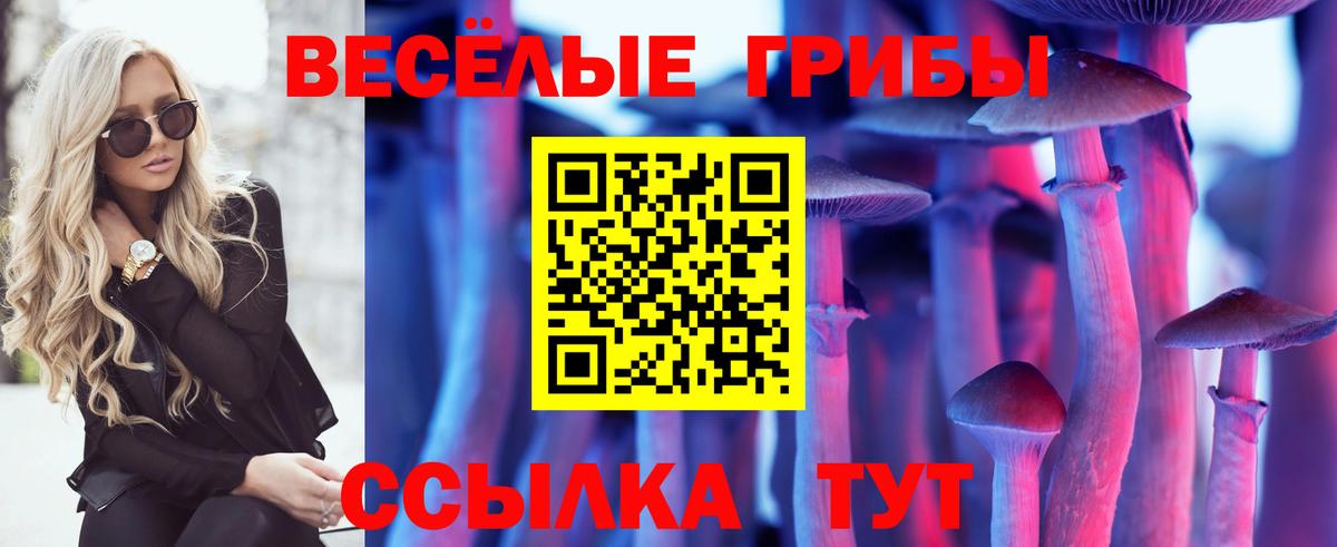Галлюциногенные грибы мухоморы Дербент